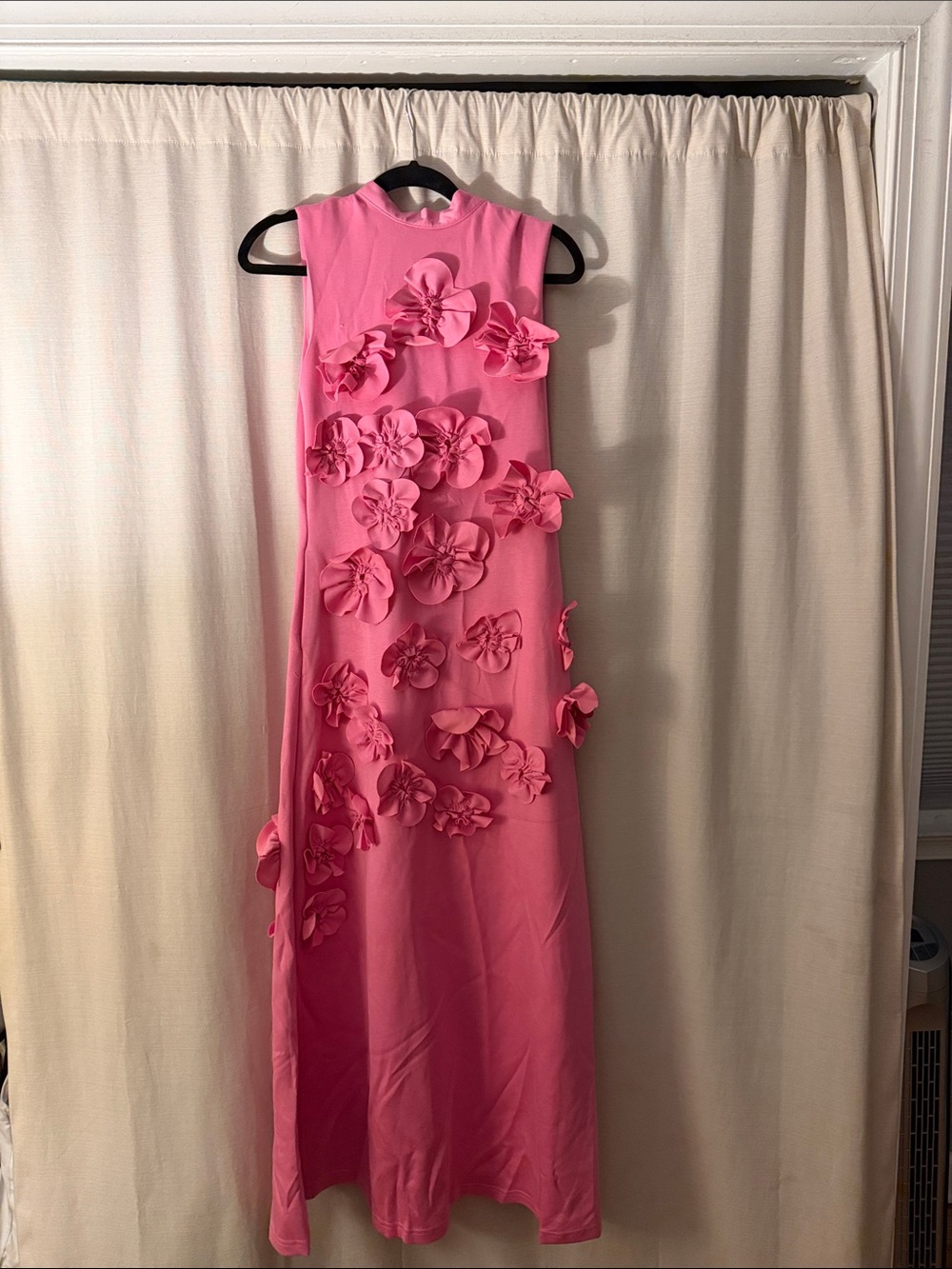 Sleeveless Pink Maxi Dress with 3D Floral Appliqués - Picture 1 of 5